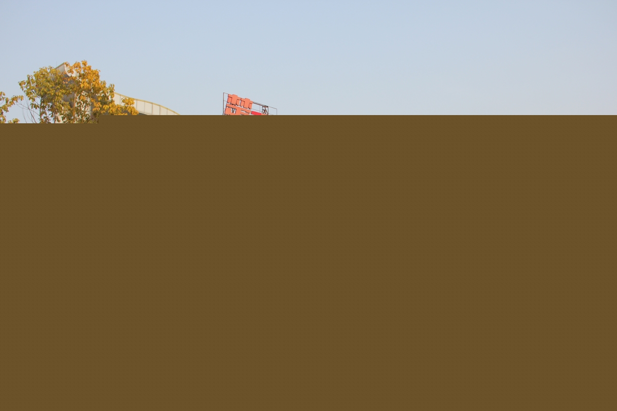 /202308/1690861960_87d6ce06d7e0b48a374d.jpg